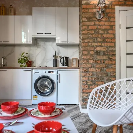 New Loft-style House In Center شقة